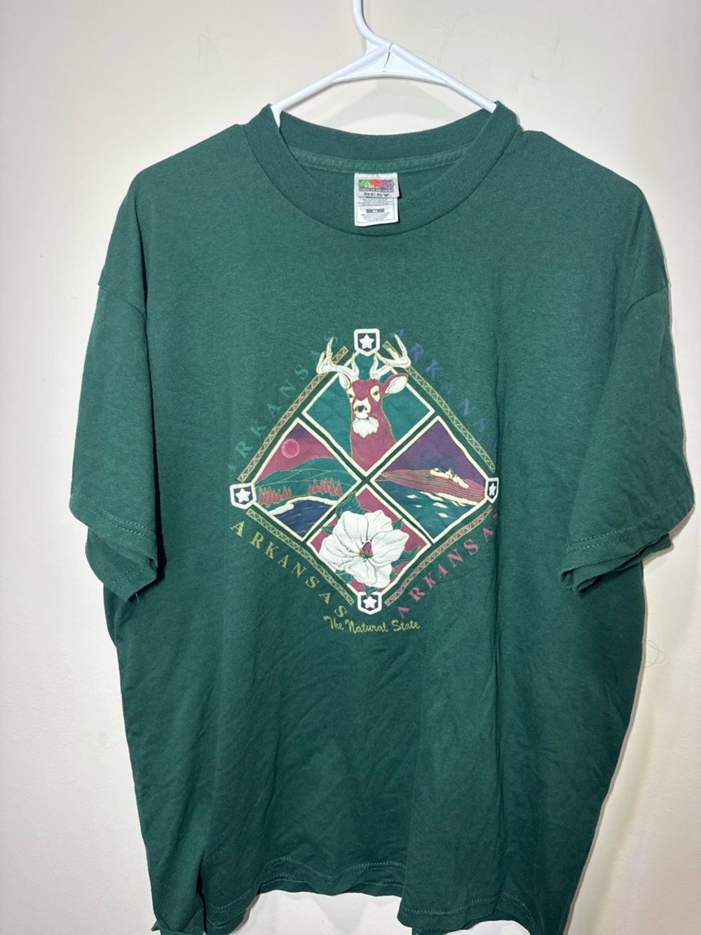 Fruit of the Loom Forest Green Arkansas Nature Graphic Tee